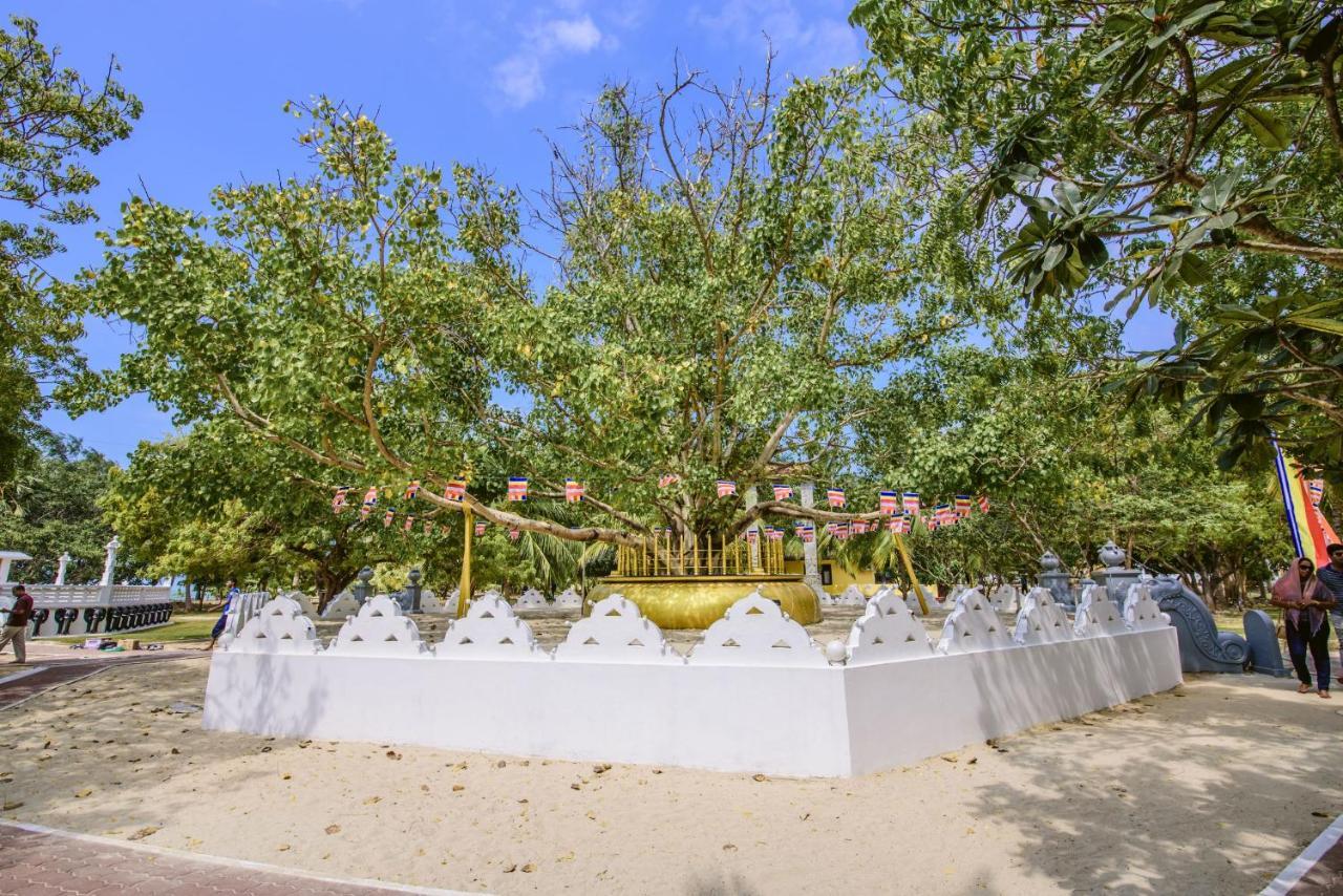 Hotel Thambu Illam Jaffna Esterno foto