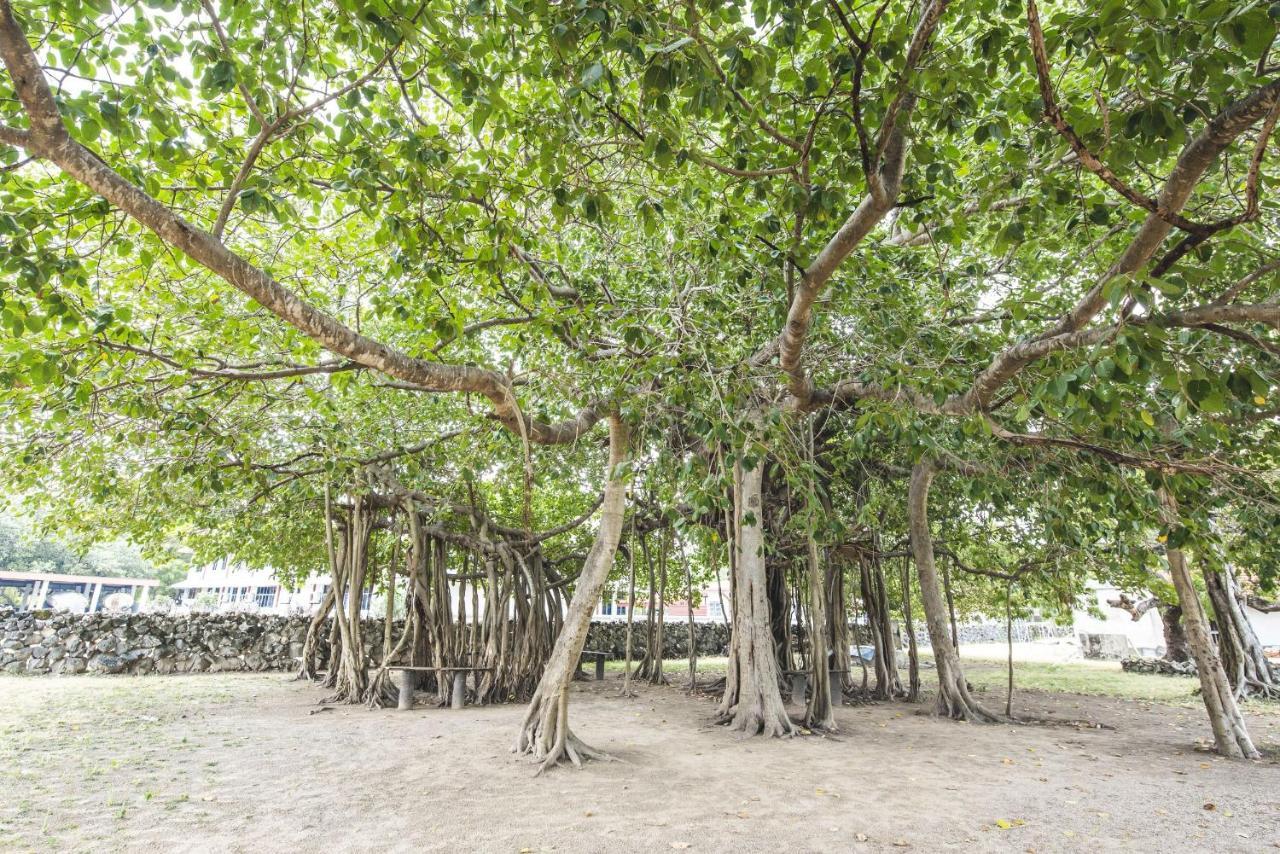 Hotel Thambu Illam Jaffna Esterno foto